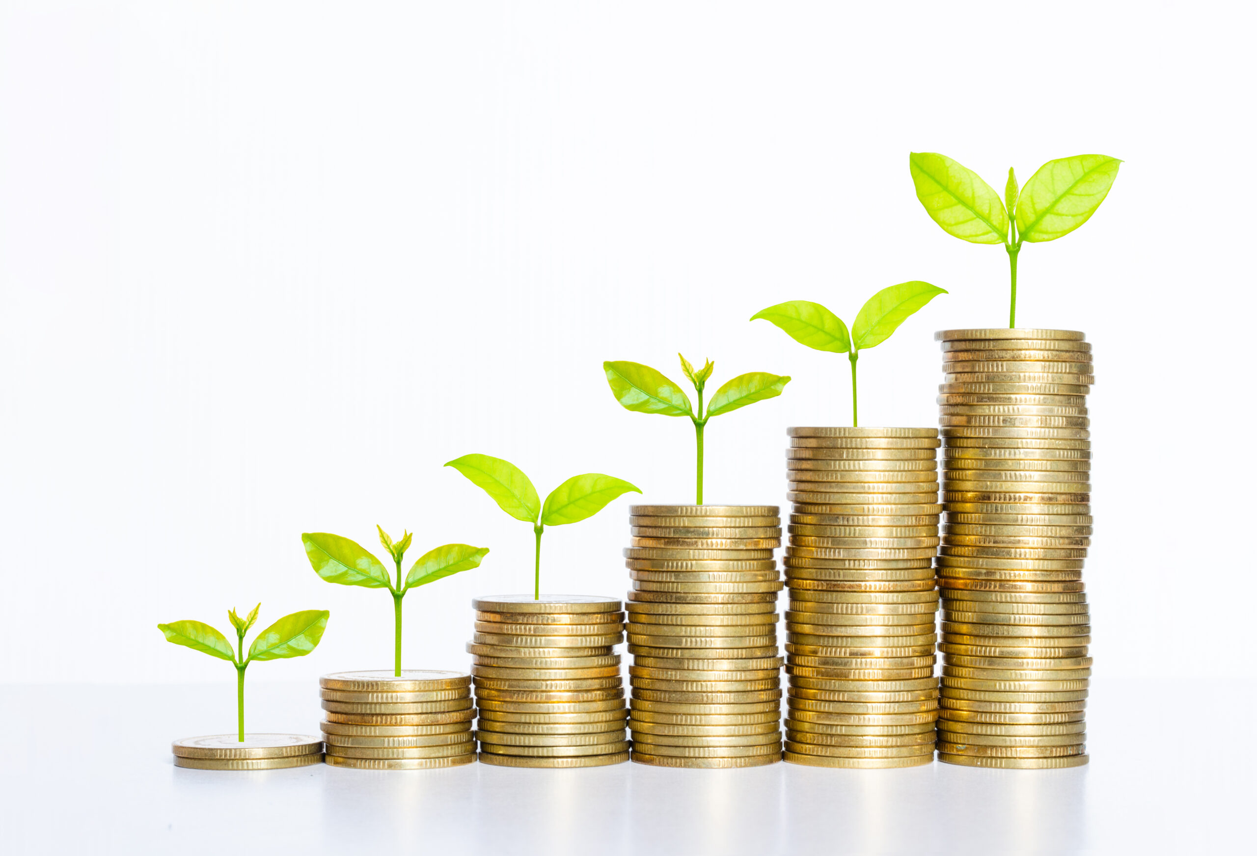 coin stack money saving concept. green leaf plant growth on rows of coin on white background. money matters tips to investment and business financial banking for Financial Wellness.